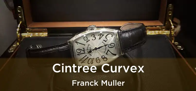  Cintree Curvex Franck Muller