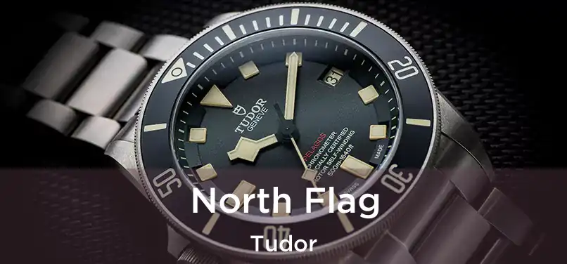  North Flag Tudor